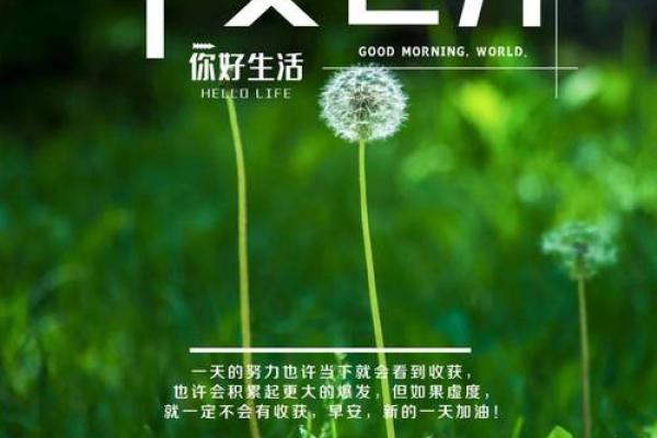 86.1.27出生的人命运解析：正能量与挑战并存的奇妙人生
