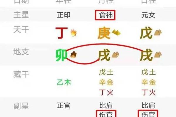 命理分析：男命与女命的核心区别与解读