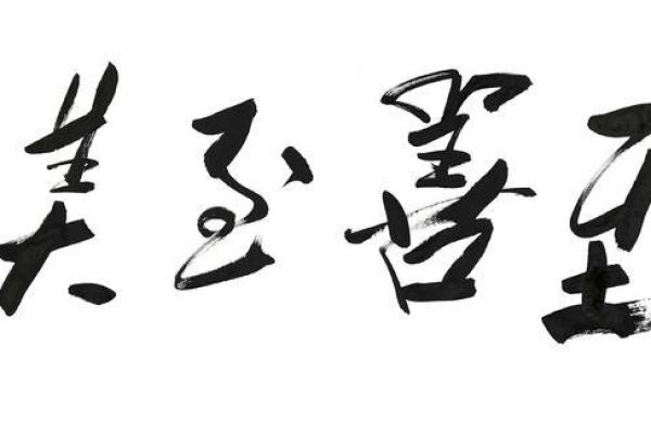 命运共同体：成语之美与生活智慧的交织