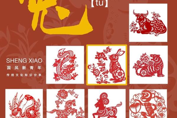 1998年兔年命运解析：揭示兔子的性格与人生特点