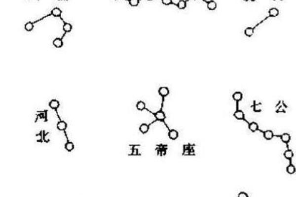 命驾将适野命：探索命运与天赋的深层次解读