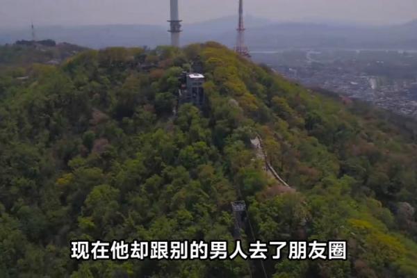 竹节手的男人：命运与生存的交响曲