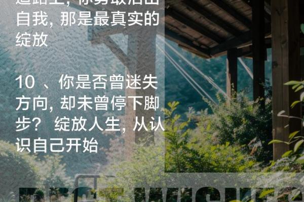 1992年是什么命：命运与人生的精彩探寻