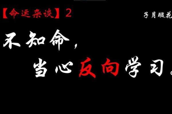 探寻9697年命运密码：揭示命理奥秘与人生启示