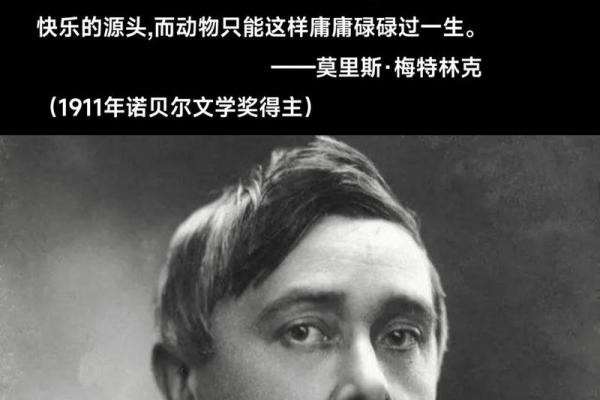 命与名：揭示人生的奥秘与美丽的启示
