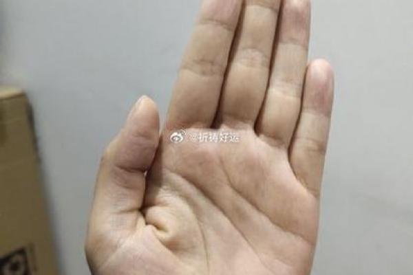 1997年出生的你，命运何在？探讨八字与人生之路！