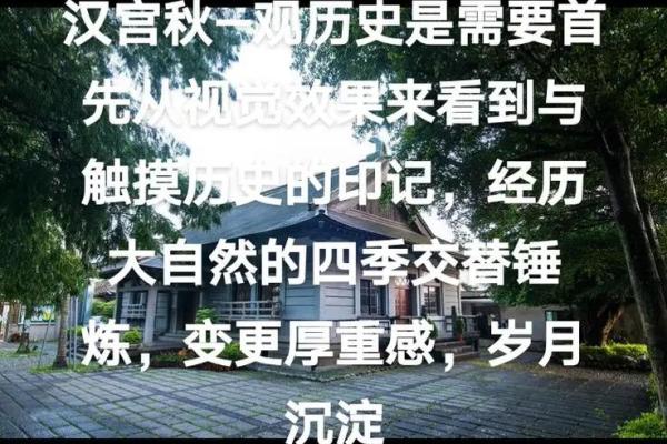 深入探讨命格中的七命：揭示命运背后的奥秘与启示