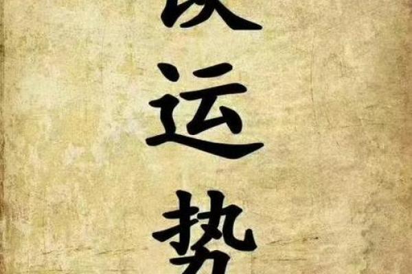 木命与哪种命最搭配？探寻五行中的和谐之道