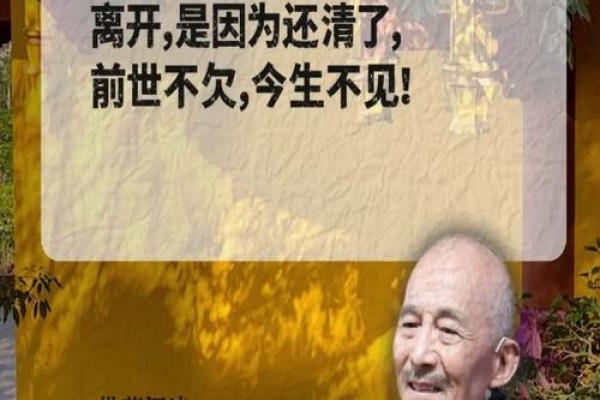 以“命”字开篇，畅谈命运与人生的智慧之旅