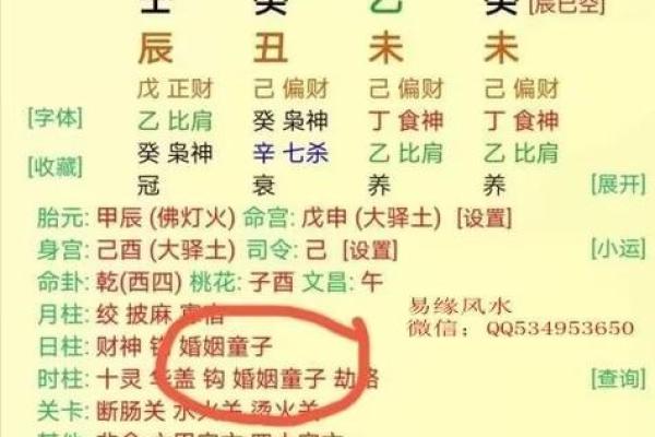 童男命与女命的区别：揭开命理学的神秘面纱