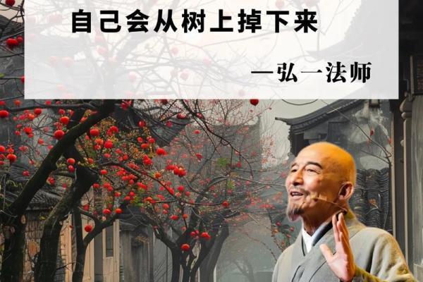 以“命”字开篇，畅谈命运与人生的智慧之旅