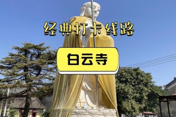 探索最佳木命男命格，开启幸福人生的钥匙！
