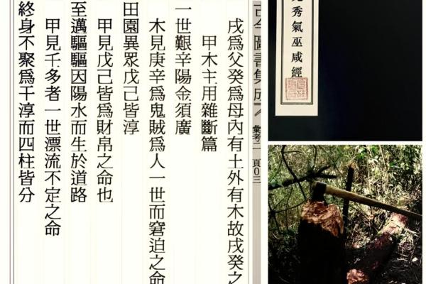 如何知道自己命里属什么命？探秘命理的奥秘与乐趣