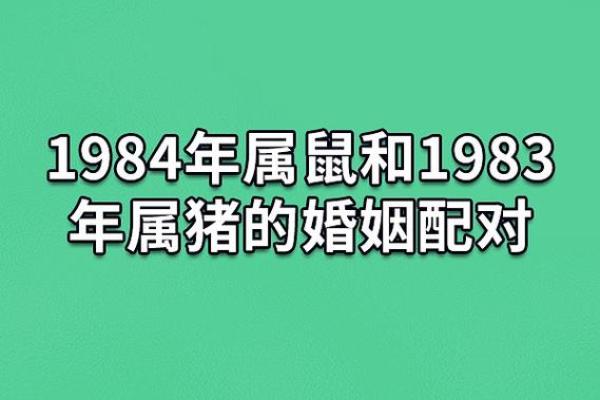 1971年属猪人的命运解析：揭示你的生活真谛与发展机会