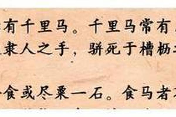 解读命运：从什么头什么马说起，探寻运势与人生的奥秘