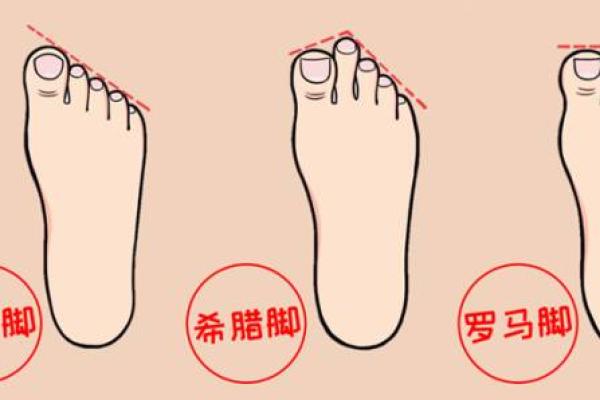 根据脚能看出什么命运，探索脚相与命运的奥秘