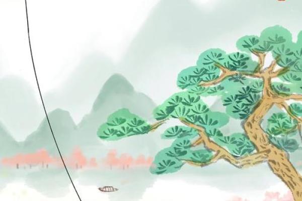 阳命与阴命：命理中的神秘之旅与人生智慧