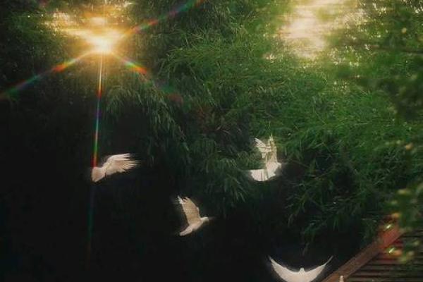 命理学中的不信命人士：探索迷信与理性的边界