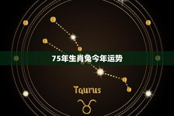 火命兔的方位与生旺运势的完美结合
