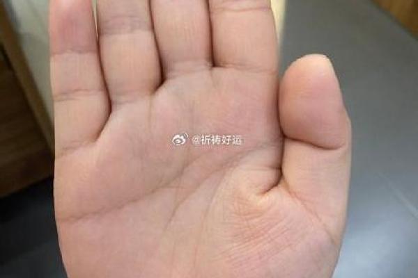 手纹解密：探寻指尖秘密与命运的密码