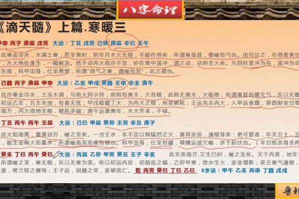 火命兔的方位与生旺运势的完美结合