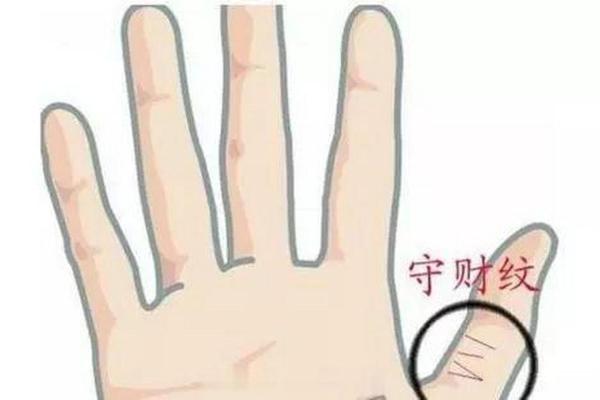 手纹解密：探寻指尖秘密与命运的密码