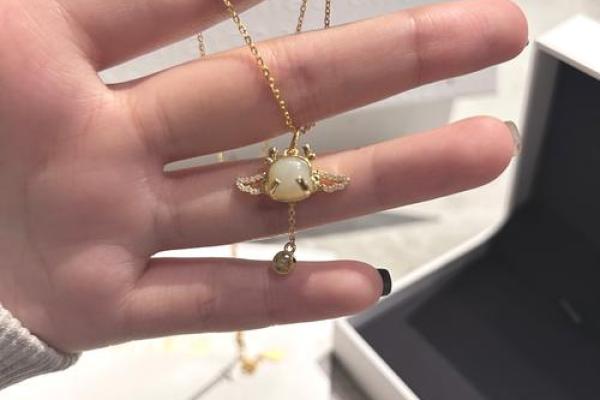 琥珀命与飞龙命：你命中的奇妙密码与生命的航向