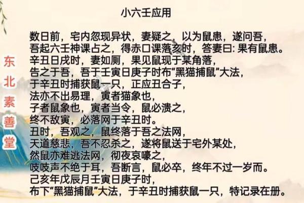 小六壬命局解析：留连命的独特之处与人生智慧