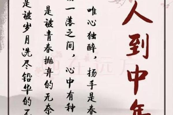 独身者的命运：孤独与自由的平衡艺术