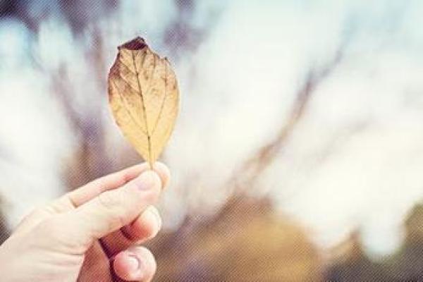 独身者的命运：孤独与自由的平衡艺术