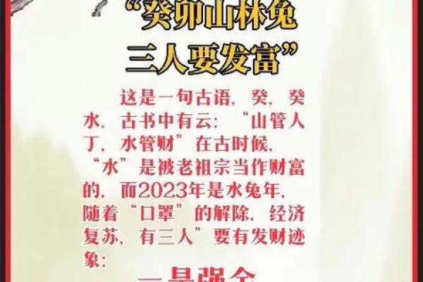 兔人1951年命理解析：了解你的性格与运势之道