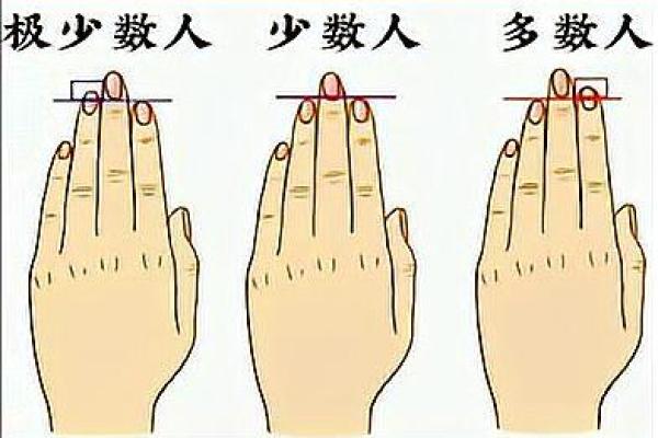 什么手指比例命最好？探索手指长度与运势的奥秘！