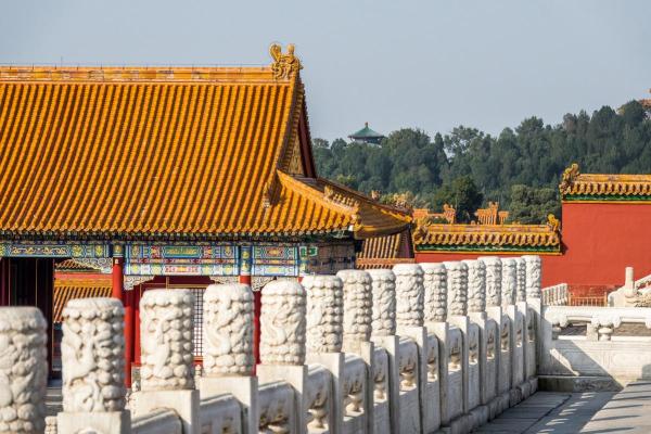 1461年出生的人命运与性格分析：深入探索木命的特质与挑战