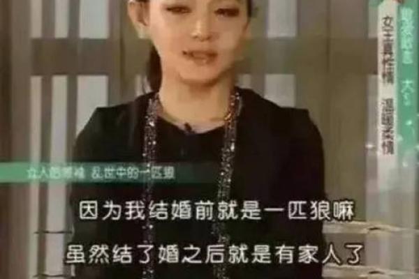 从生到命：成语接龙的智慧之旅