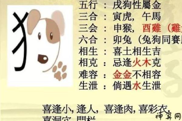 1986年出生的女性命运解析：从生肖到性格的深度剖析