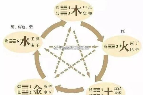 探寻2024年的命运：属鼠、属龙、属猴人的人生洞察与运势分析