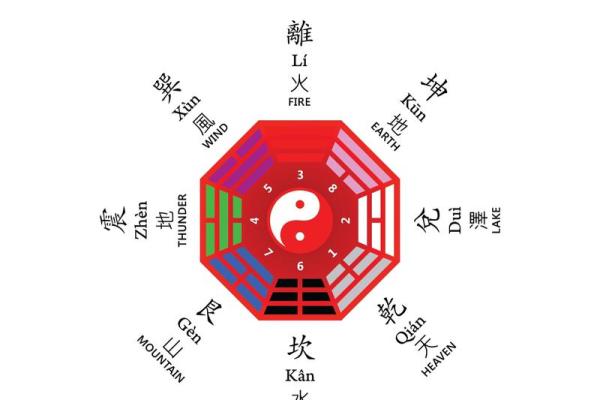 探秘命理：男命特征的深层解析与人生启示