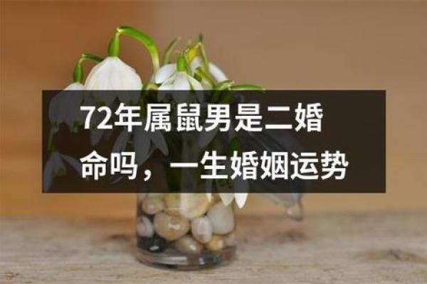 2020年鼠年的命运解析：揭开命运背后的神秘面纱