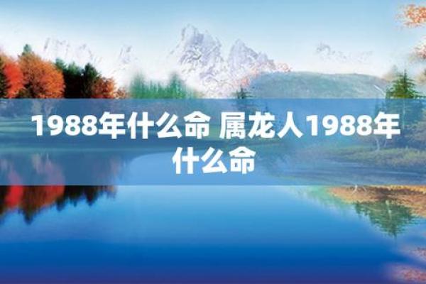 木命之人：如何通过命理数字了解你的生肖特性