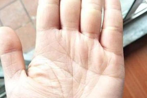 手相解读：皇帝命指的奥秘与人生启示
