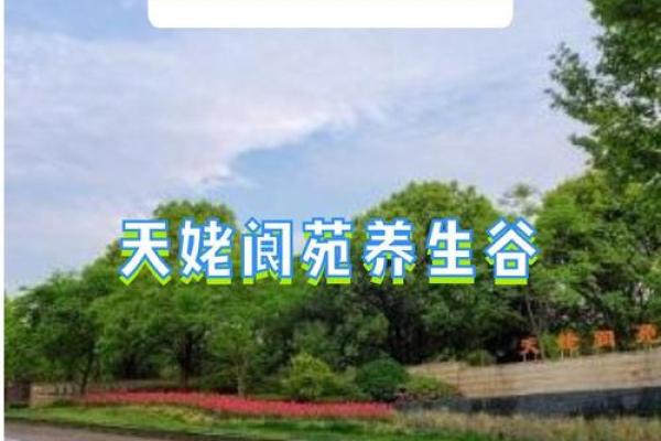 1847年：历史的转折与人性的探索之旅