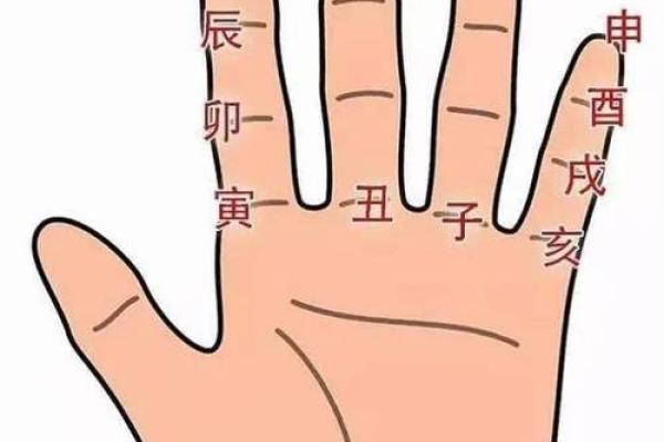 男命与女命的最佳配对：探索命理中的和谐之美