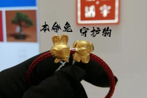 1999兔年12月出生的命运解析：守护你的未来与挑战