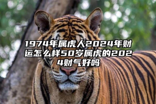 1974年出生的你：命运与性格的深层解读