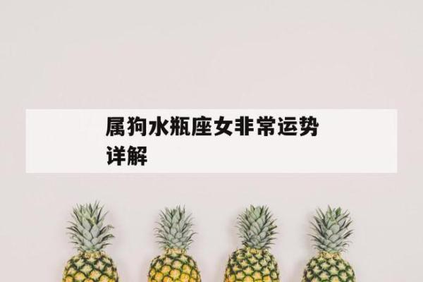 1981年属狗之人的命运特点与人生解析