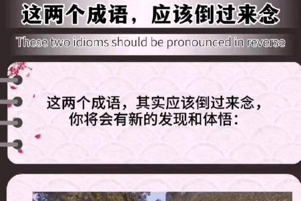 探索“什么是命”的深意，成语大全带你领悟命运的真谛