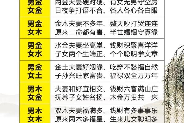 男命6女命9：探索八字命理中的男女差异与智慧