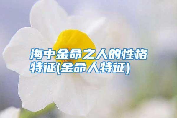 1667年出生的人命运之旅：命理解析与性格特征