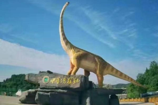 19860219出生的人生旅程：探索命运的奇妙奥秘