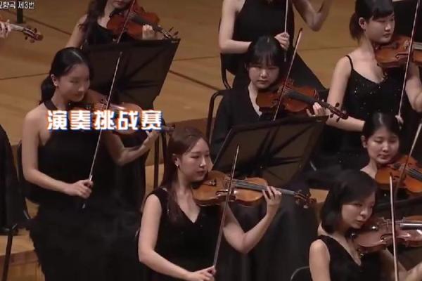 命运的交响曲：当因果相遇时的生命之舞